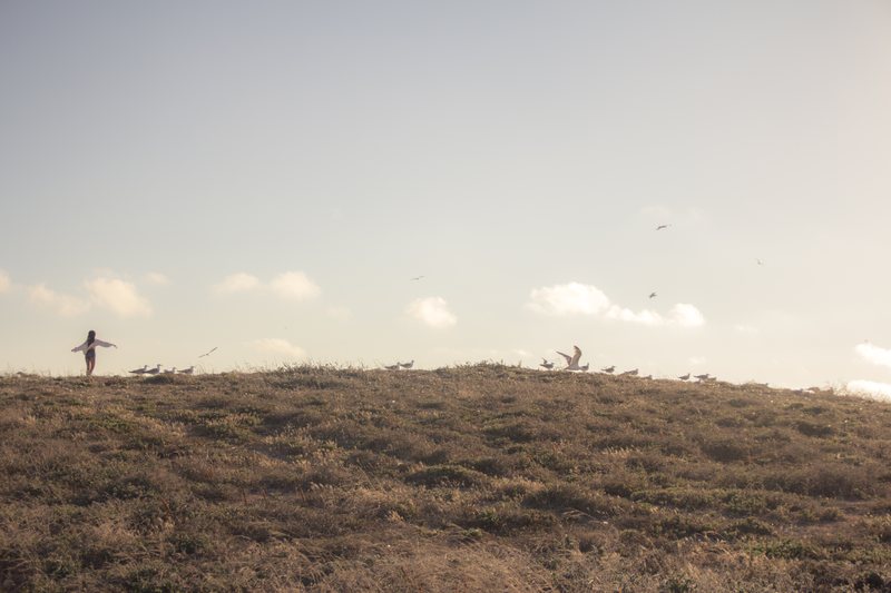 A small figure stands with arms out on a grassy hilltop among gulls, under a pale sky with low clouds.