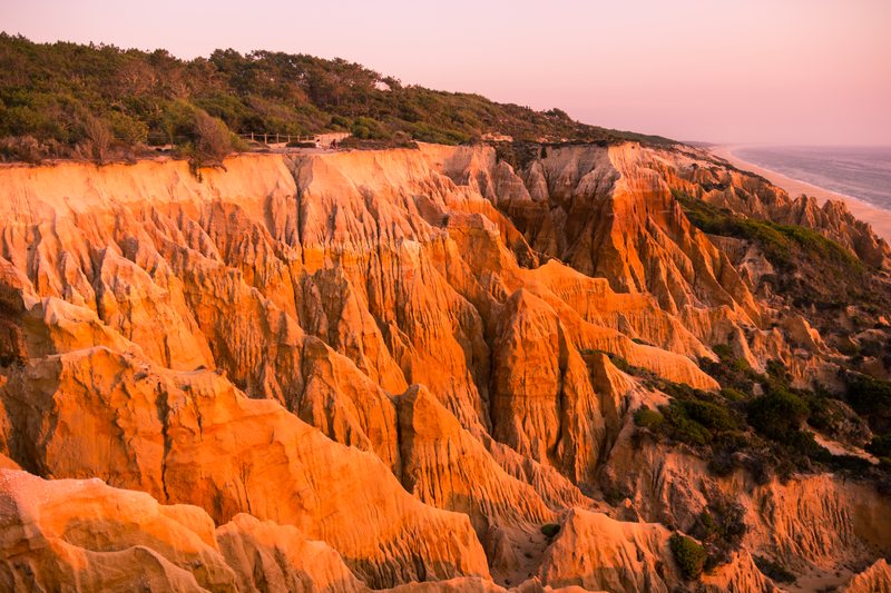 Eroded sandstone cliffs glowing orange in the evening sun, green scrub along the top and a long beach beyond.