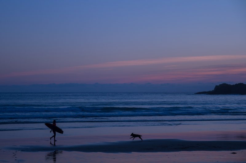 A small surfer and dog cross a wide beach at dusk under a pink-streaked blue sky, an island on the horizon.
