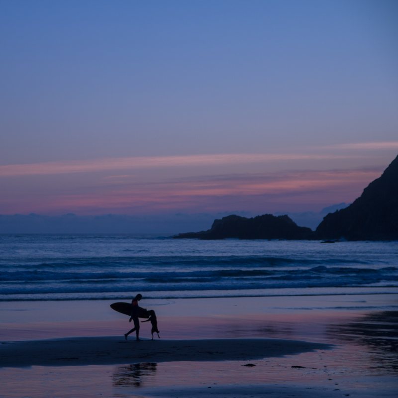 A surfer holding a board walks with a small dog along the waterline at blue hour, headlands in the distance.