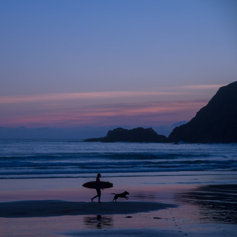 A surfer carrying a board walks along the shore at blue hour while a dog runs ahead, with dark headlands and a pink streak of cloud behind.