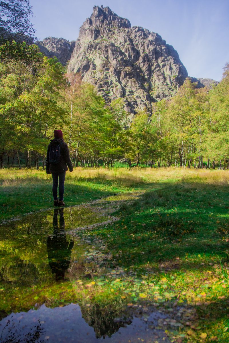 A hiker stands in a green meadow reflected in a puddle, facing a jagged granite peak above autumn trees.